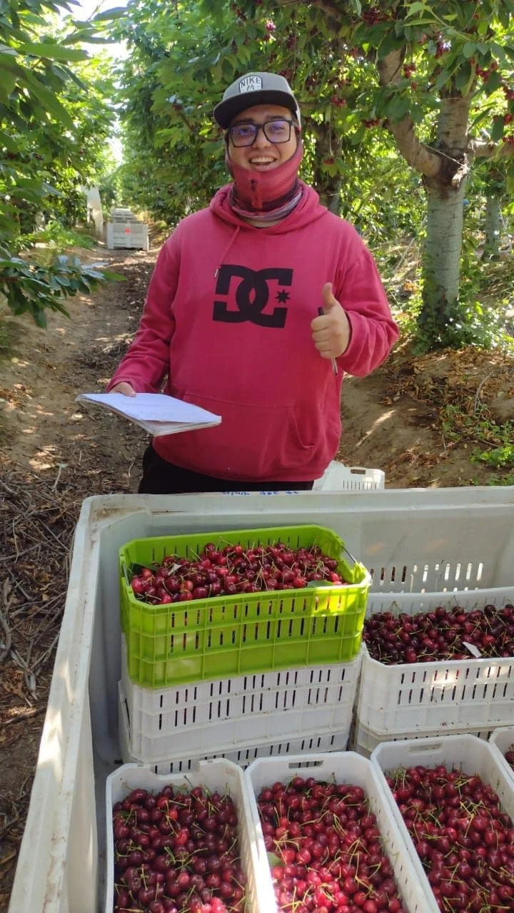 Cosechando con Alegría